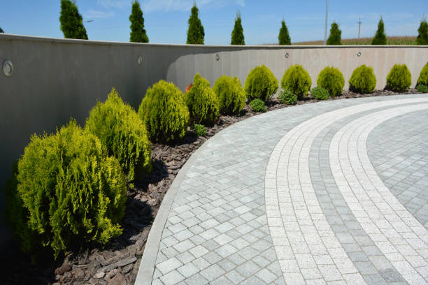 Best Local Driveway Pavers  in Fort Branch, IN